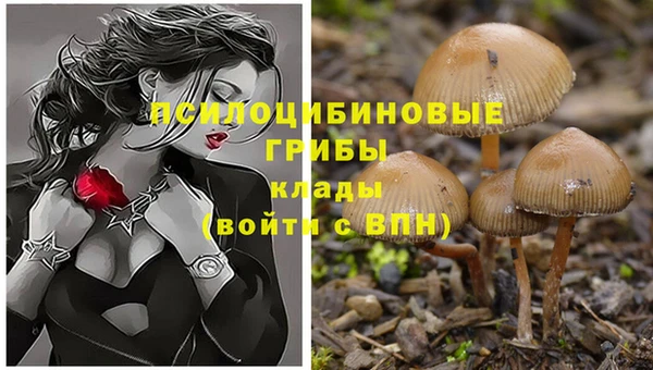 ГАЛЛЮЦИНОГЕННЫЕ ГРИБЫ Остров