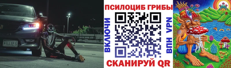 площадка телеграм  Исилькуль  Псилоцибиновые грибы Psilocybine cubensis 